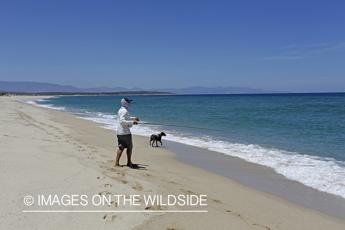 Chasing roosterfish on Baja Peninsula, Mexico.