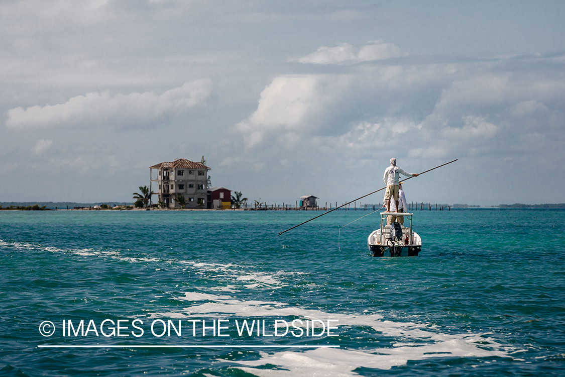 Saltwater flyfishing in Belize.