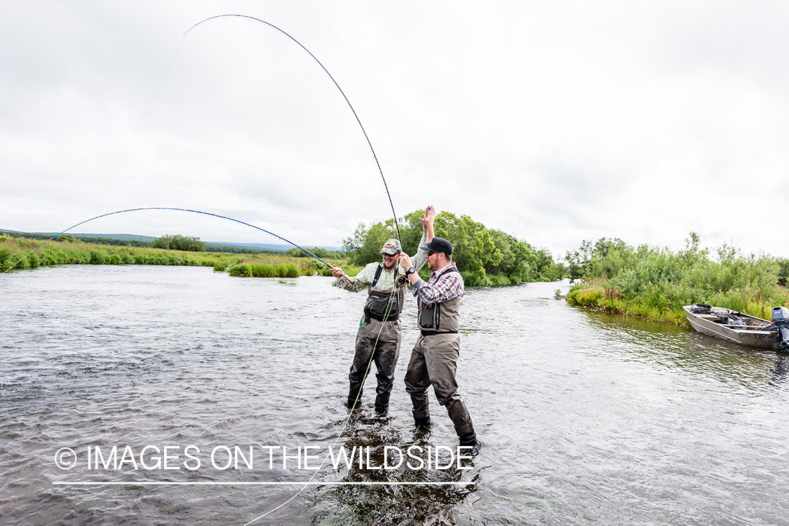 Flyfisherman high-fiving with fish on. Flyfishing in Kamchatka Peninsula, Russia. 