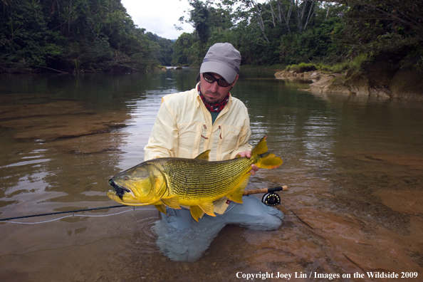 Flyfisherman holding a Golden Dorado