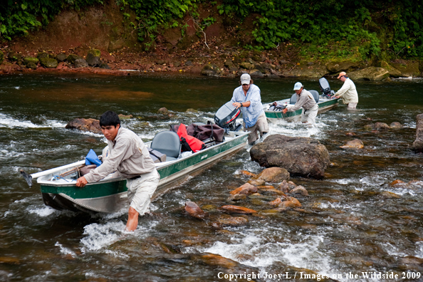 Flyfisherman in Bolivia fishing for Golden Dorado