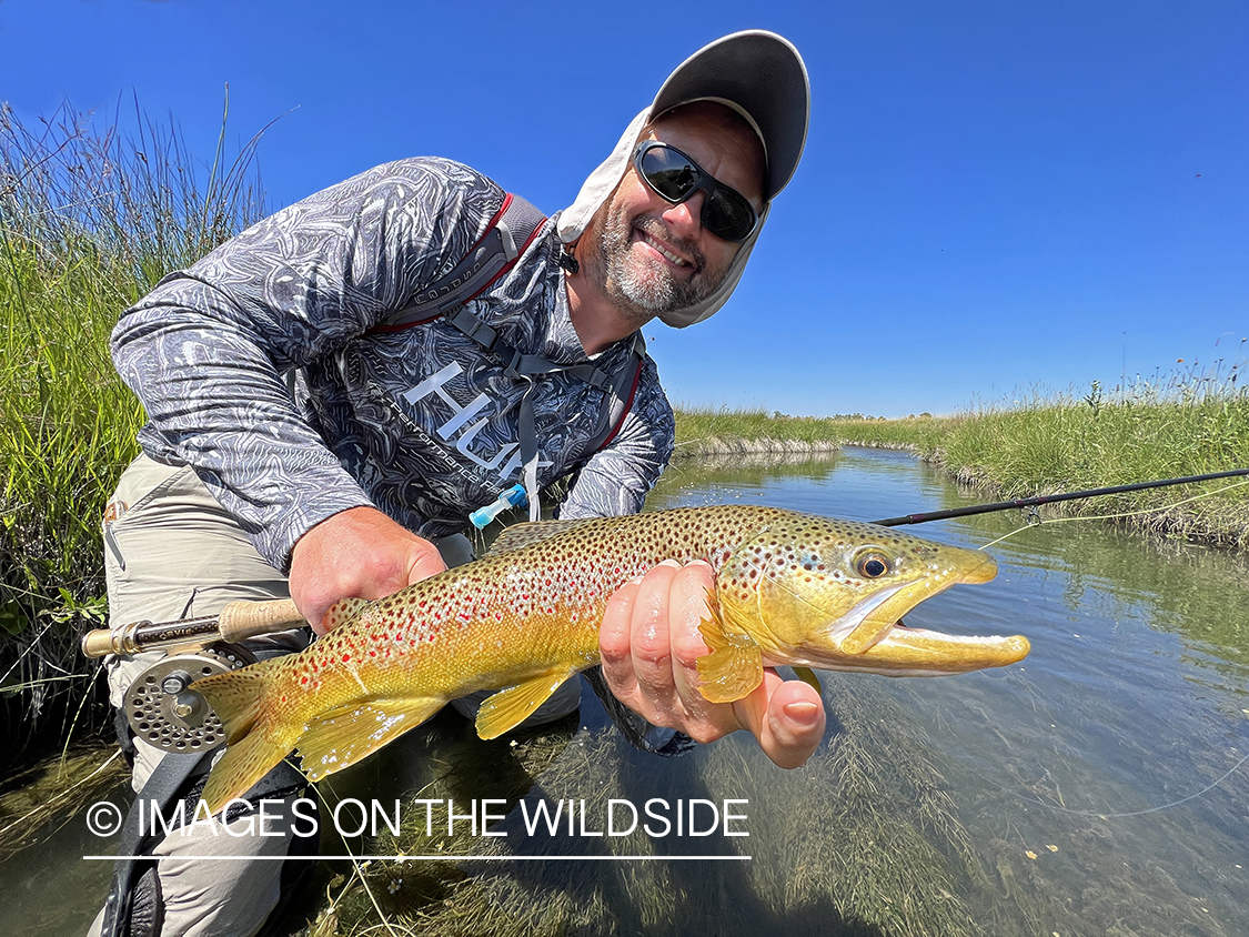 Flyfisherman holding brown trout on stream.