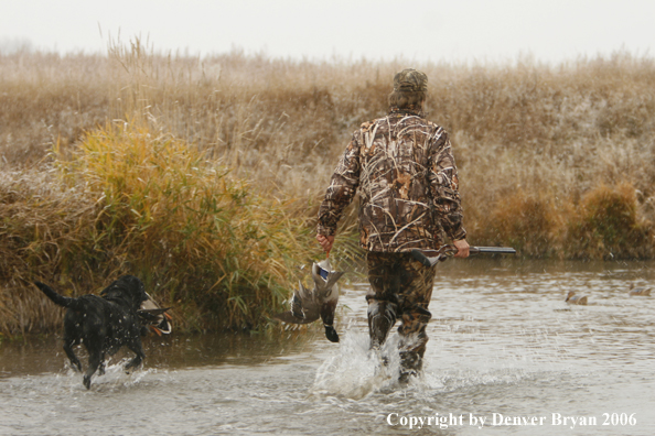 Duck hunting in winter