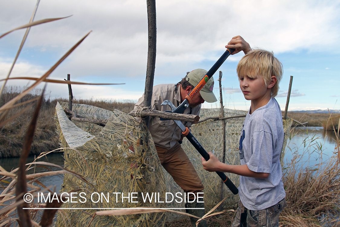 Father and son waterfowl hunters building blind.