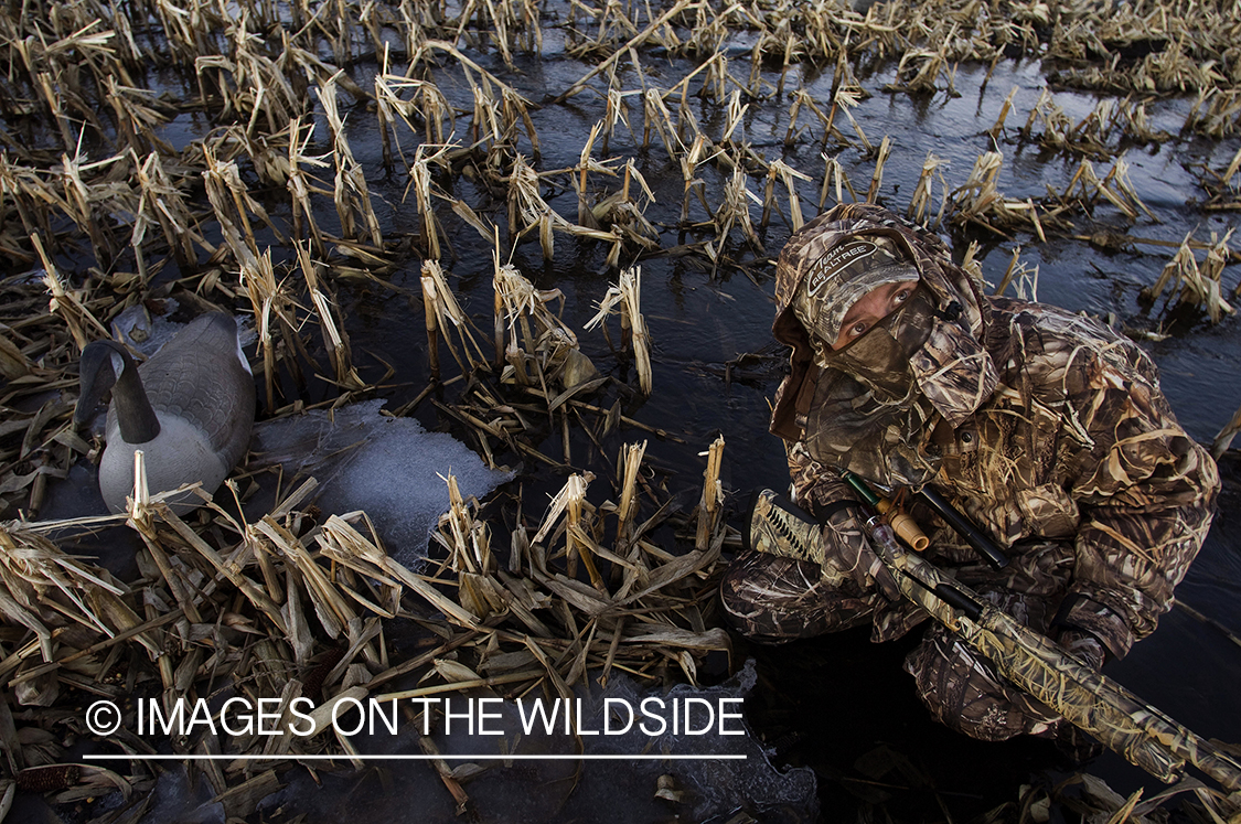 Waterfowl hunter camouflaged in field.