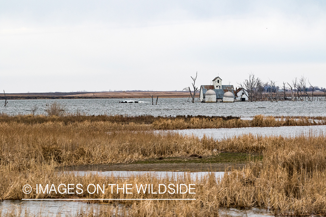 Flooded farm.