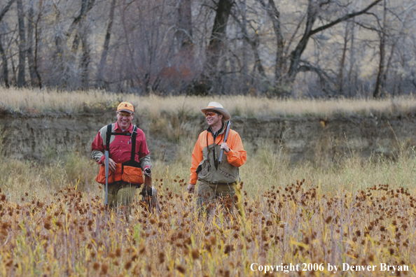 Upland hunters in field with bagged ring-necked pheasant.