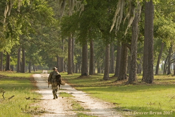 Turkey hunter in field with bagged bird