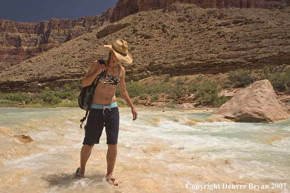 Woman walking in the Little Colorado River.  Grand Canyon.