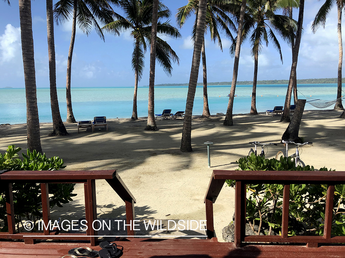 Beach front view on Aitutaki Island.