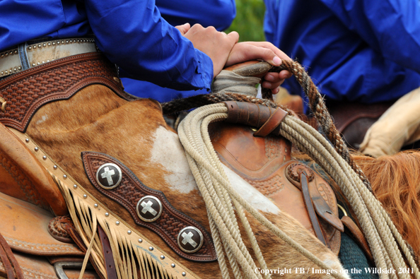 Cowboy's chaps and lariat