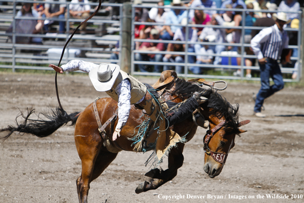 Augusta Rodeo