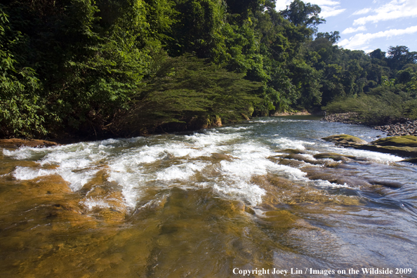 Bolivian River