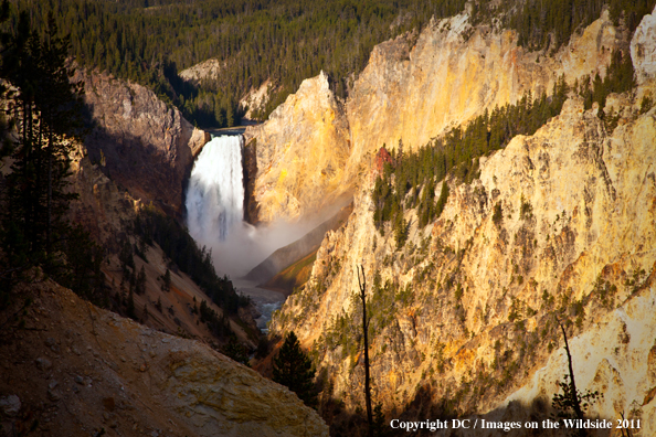 Yellowstone National Park river scenic