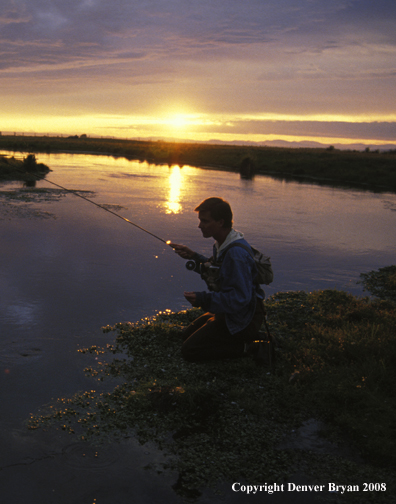 Flyfisherman casting in river.