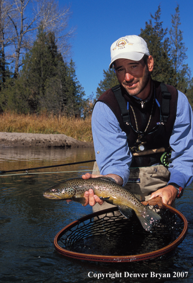 Flyfisherman releasing brown trout.