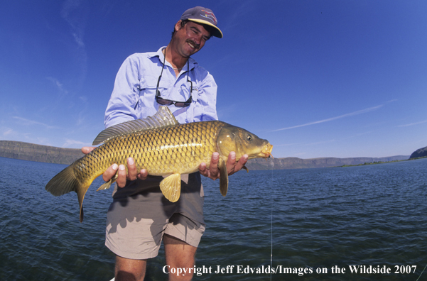 Flyfisherman with fly caught carp