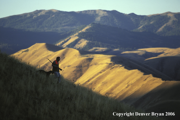 Upland bird hunter with Labrador Retriever.