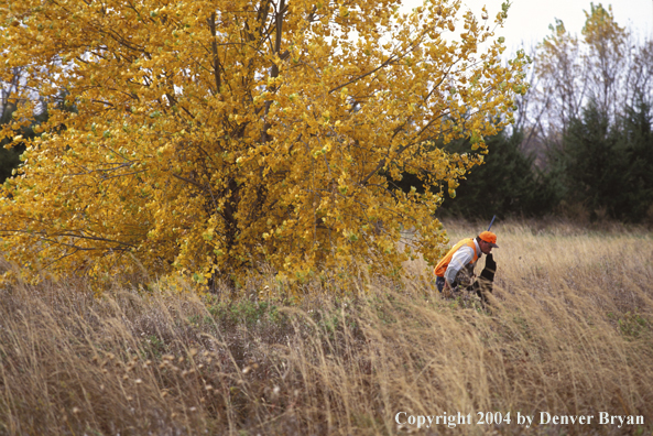 Upland bird hunter with black Labrador Retriever.