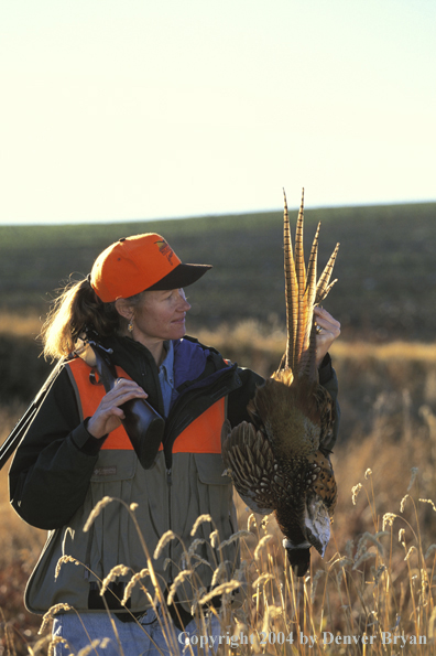 Upland game bird hunter with bagged pheasant.