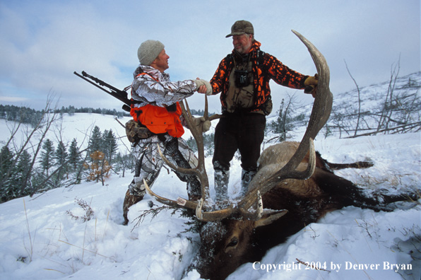 Big game hunters with bagged elk.