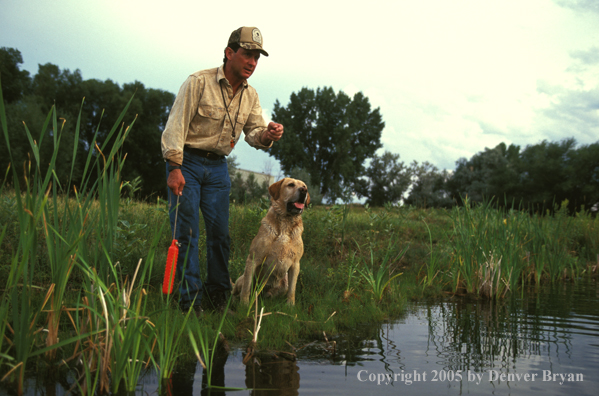 Trainer with yellow Labrador Retriever.