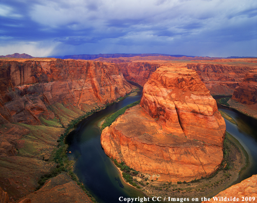 Goose Necks, Arizona