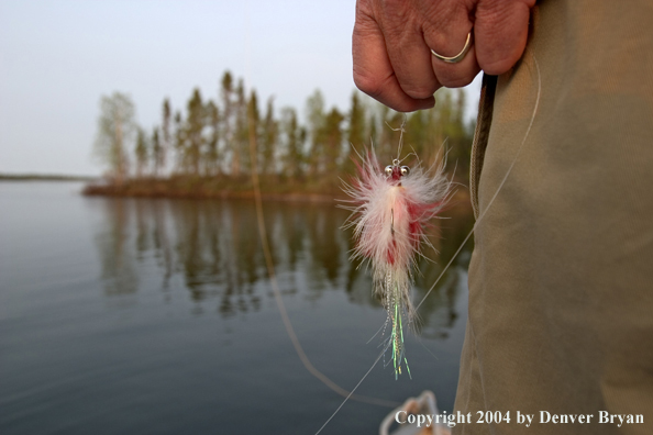 Close-up of flyfisherman's hand with fly in hand.