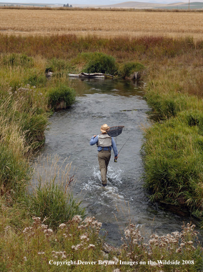 Flyfisherman fishing warm springs