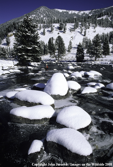 Winter Flyfishing