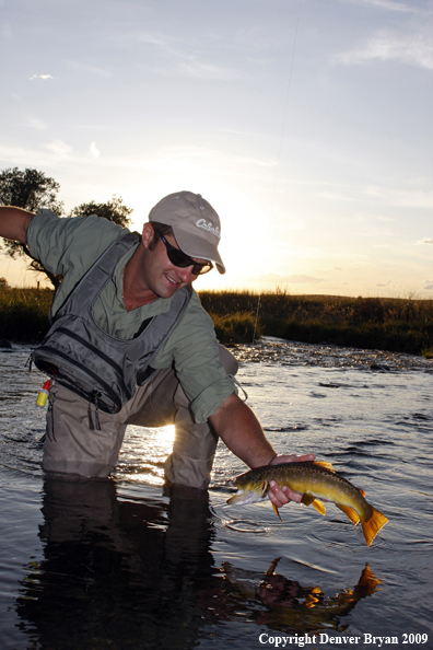 Flyfisherman landing Brown Trout