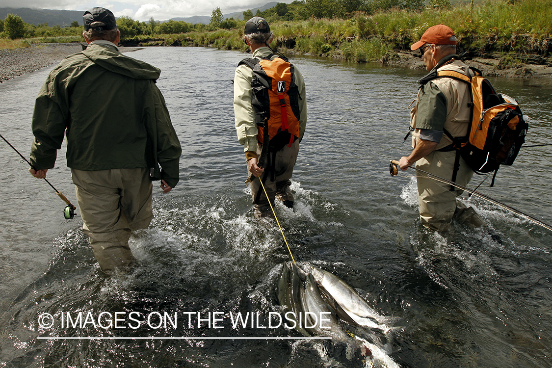 Flyfishermen with harvested salmon.