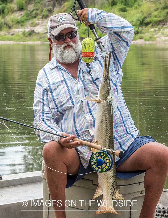 Flyfisherman with Alligator gar.