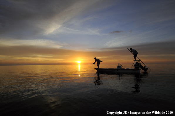 Saltwater Flyfishing at sunset