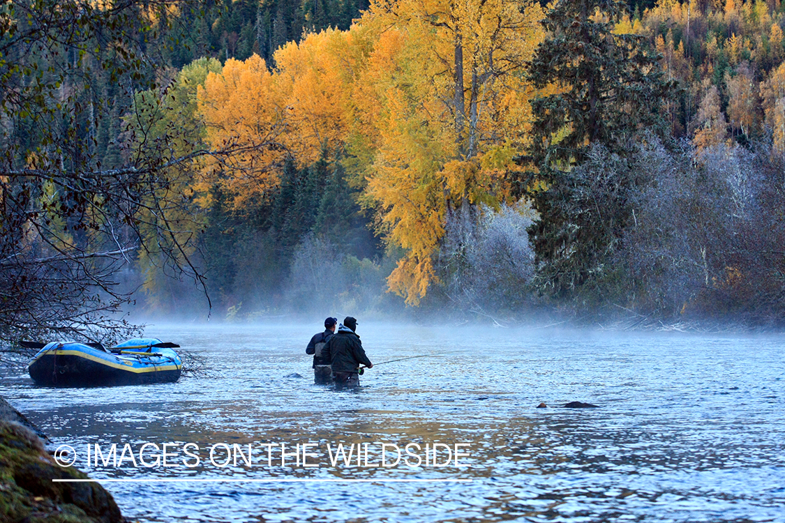 Flyfishermen on river. 