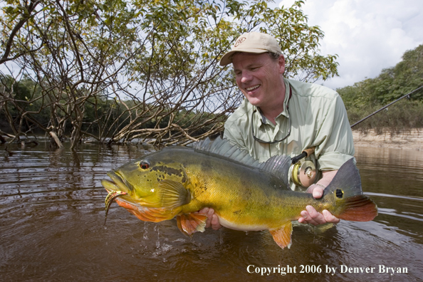 Fisherman holding Peacock Bass