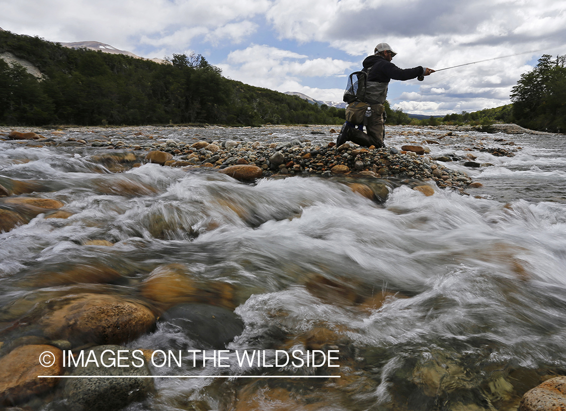 Flyfisherman fighting with trout.