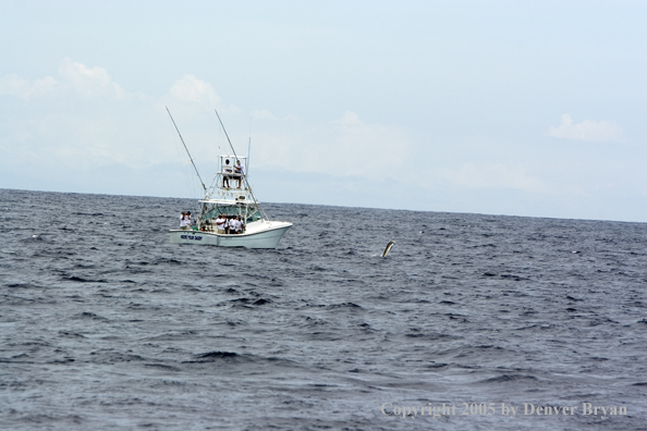 Deep sea fishing charter boat on ocean.