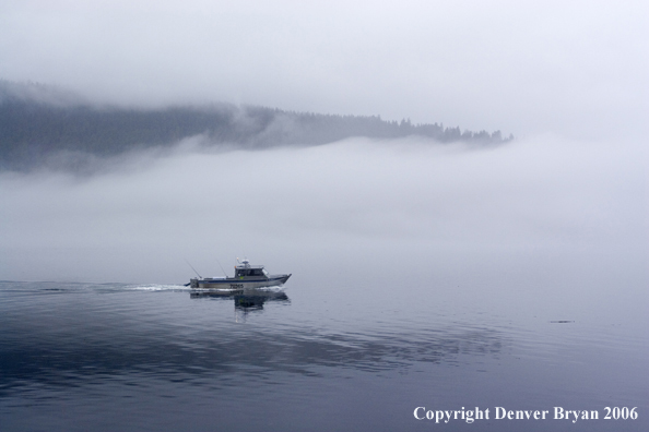 Fishing boat in fog.  (Alaska/Canada)