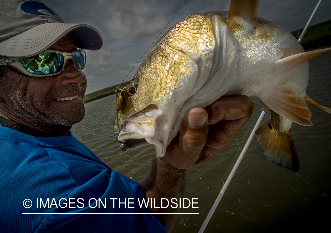 Fisherman with redfish.