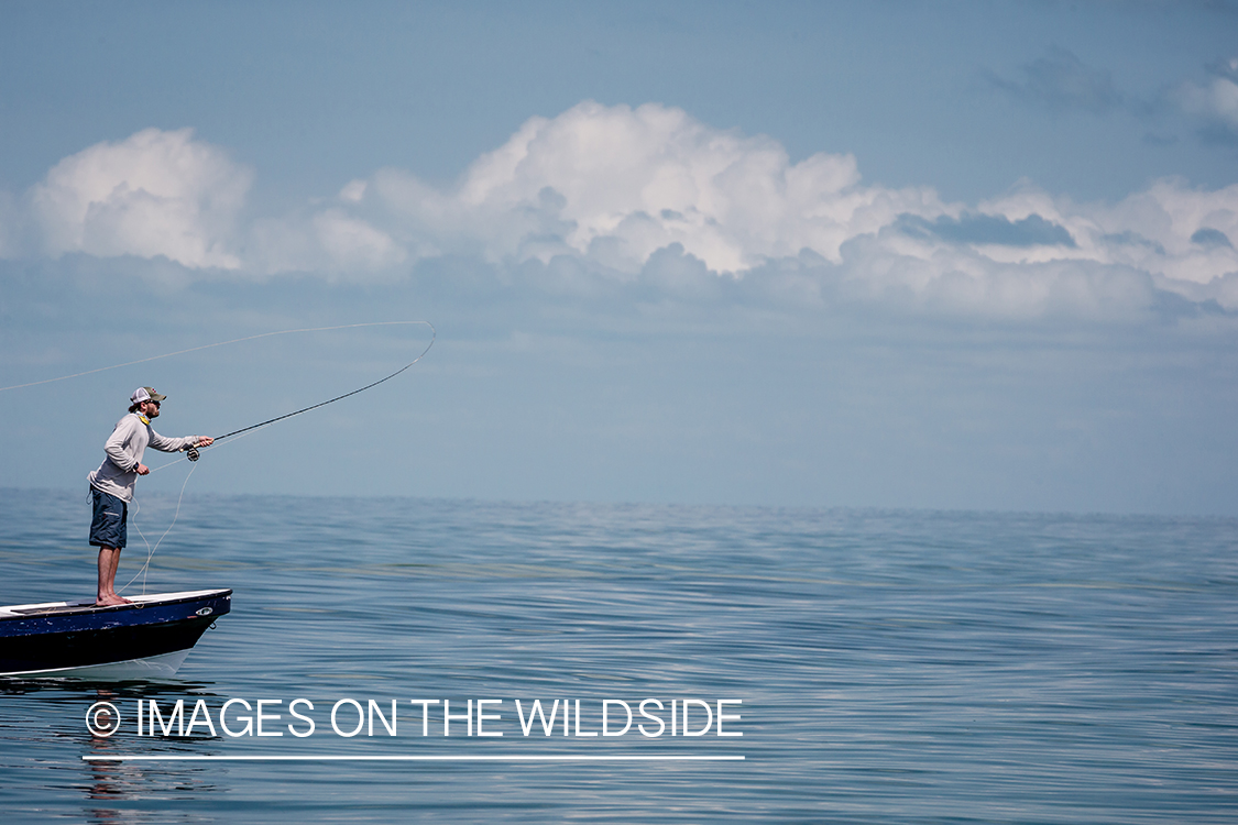 Saltwater flyfishing in Belize.