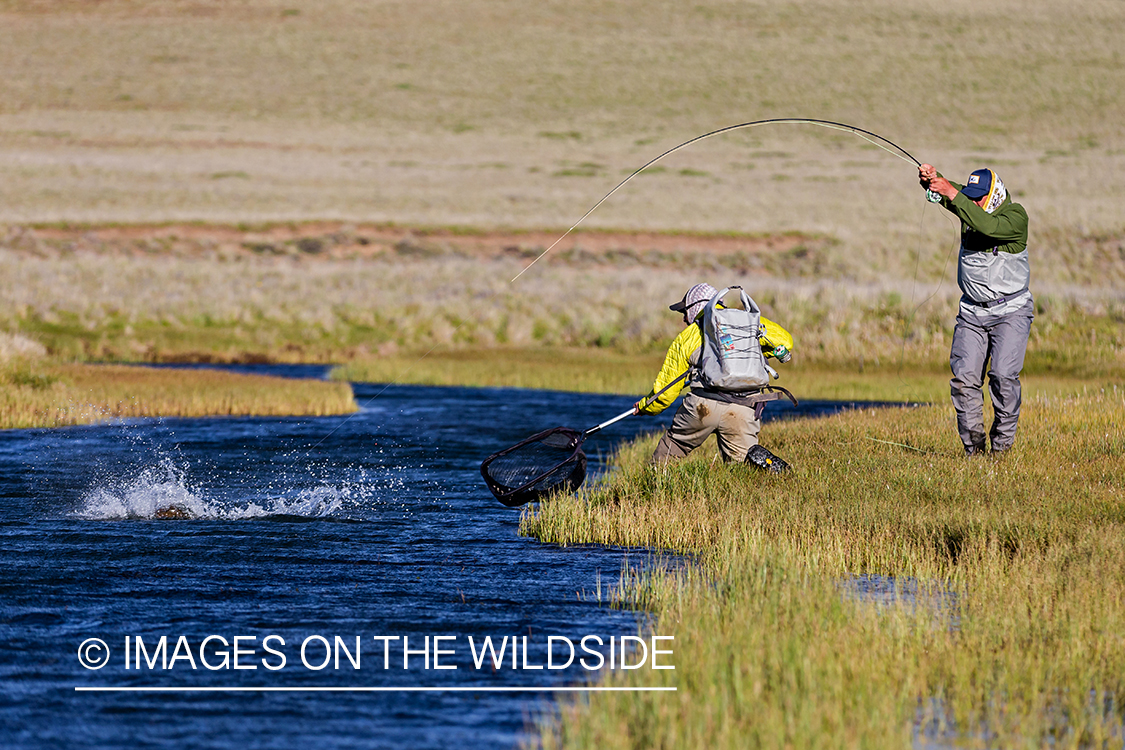 Flyfisherman fighting trout.