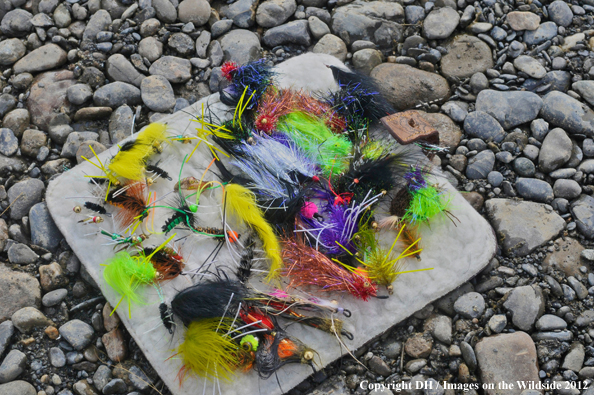 Flybox on riverbed. 