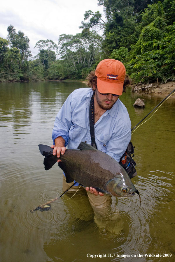 Flyfisherman releasing a pacu.