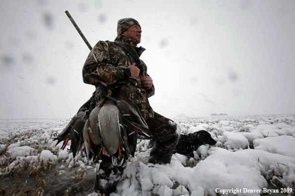 Waterfowl hunter with killed mallard ducks.