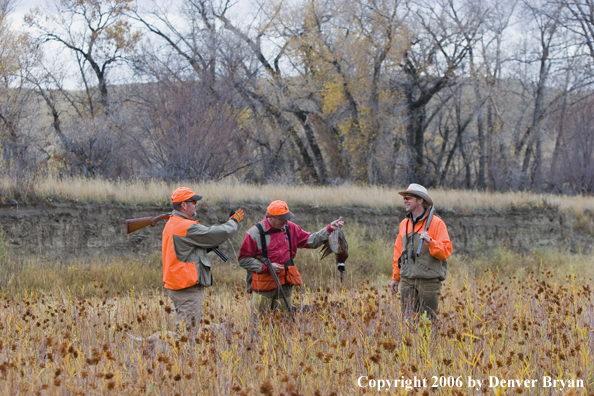 Upland hunters in field with bagged ring-necked pheasant.