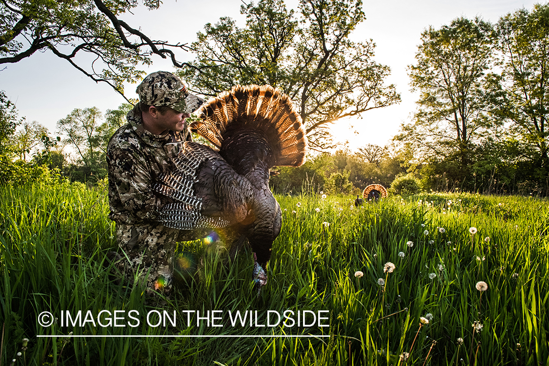 Turkey hunter with bagged turkey.