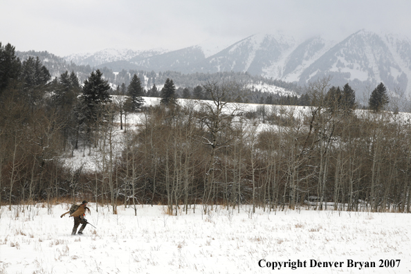 Moose hunter in field