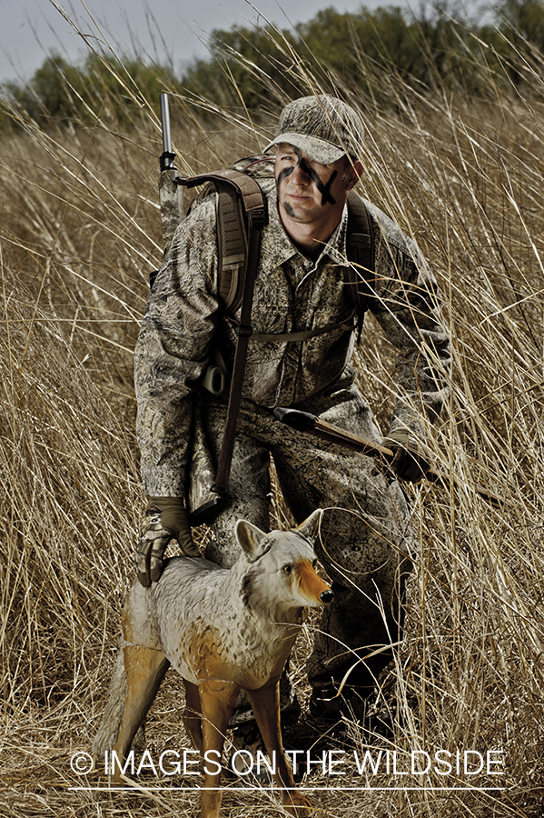 Predator hunter setting up coyote decoy.