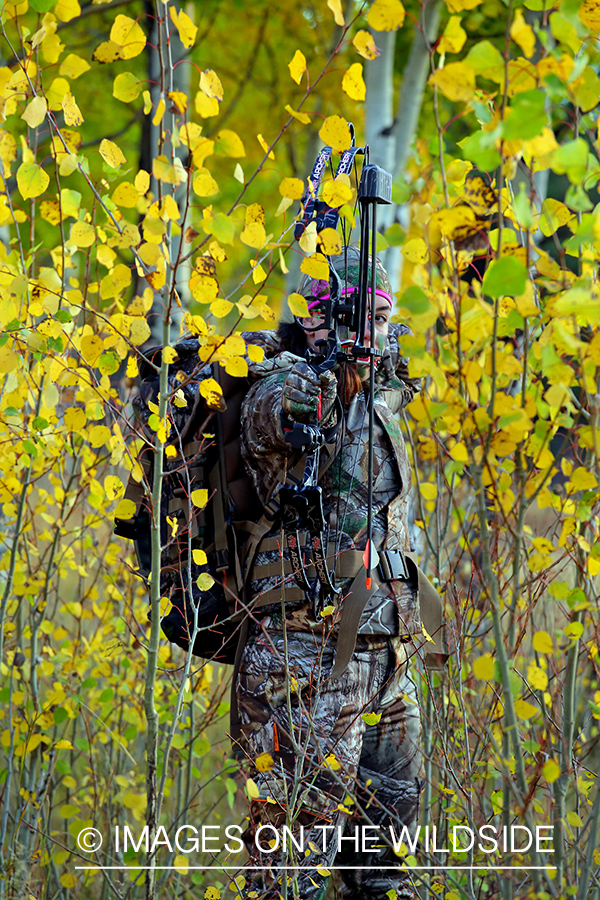 Woman bow hunting elk.